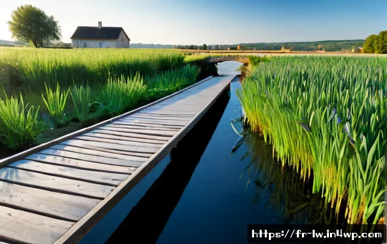 Home 17 자연형 물 정화 시스템과 물 순환 관리 - Photorealistic French countryside constructed wetland for natural water purification, clear stream f...