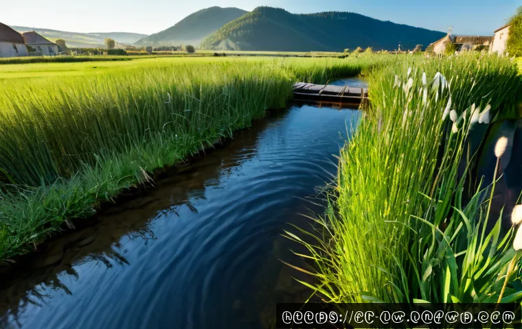 자연형 물 정화 시스템의 환경적 이점 - Photorealistic natural water purification wetland in the French countryside, clear stream flowing th...